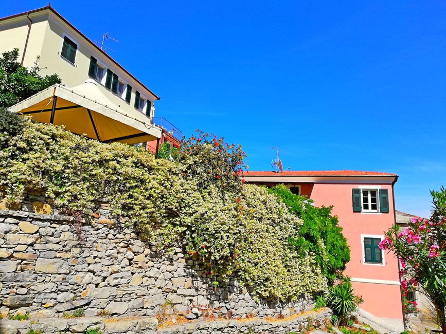 Image of La Casa Gialla and La Casa Rosa, square side